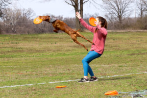 Como um animal de estimação levou Sela, de 16 anos, da ginástica para esportes caninos