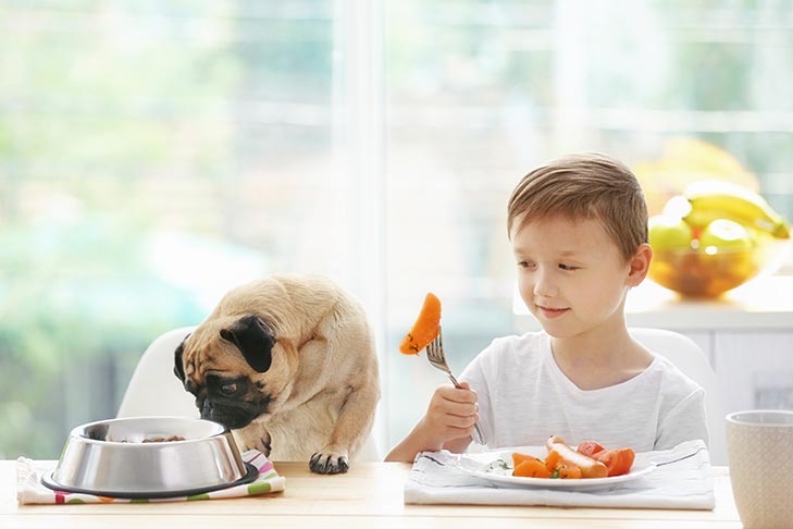 Can Dogs Eat Sweet Potatoes? Are Sweet Potatoes Good for Dogs?