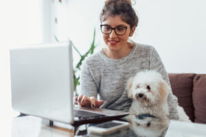 Dicas de dutividade das patas: Trabalhando em casa com seu cachorro – o blog do cachorro