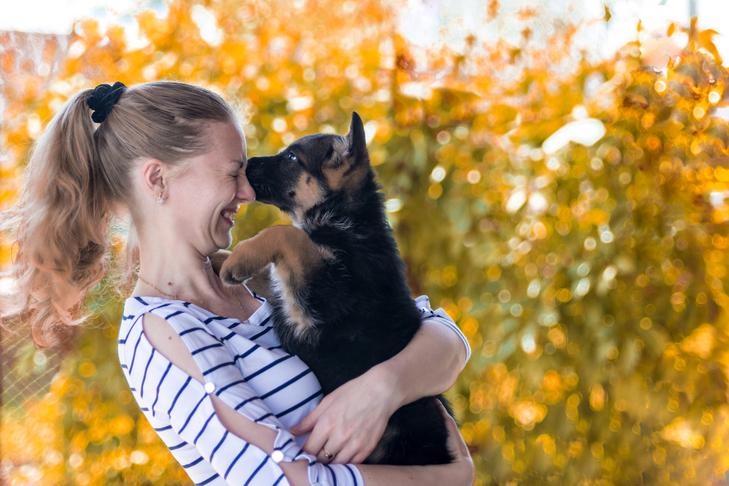 Você precisa de seguro animal de estimação para seu filhote de cachorro?  Por que o seguro para animais de estimação é importante