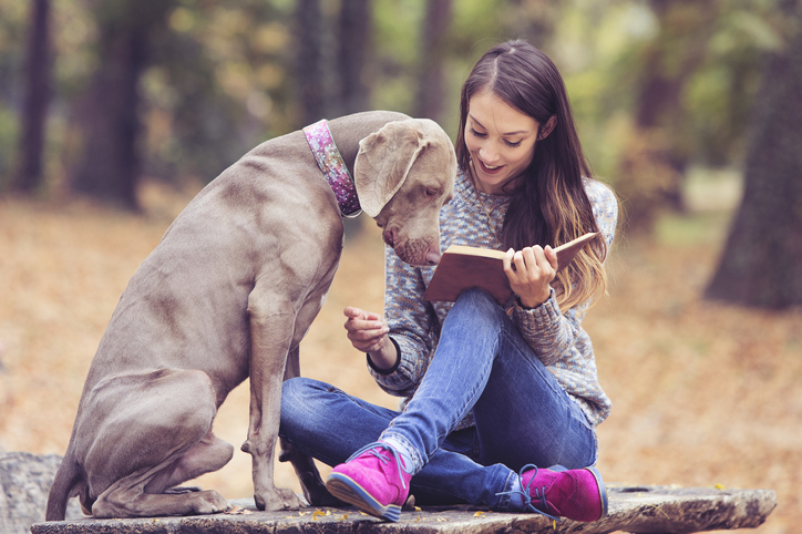 Furry Good Reads: 7 livros para amantes de cães – o blog do cão