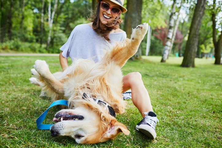 Probióticos para cães 101: O Pet pais precisam saber – O Blog do cão