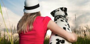O seguro do animal de estimação é ideal para você?  – The Dog Blog