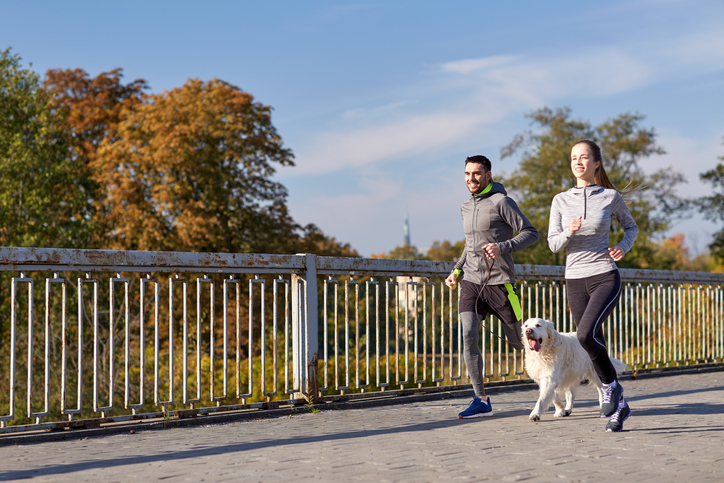 4 atividades para manter seu cão em forma – O blog do cão