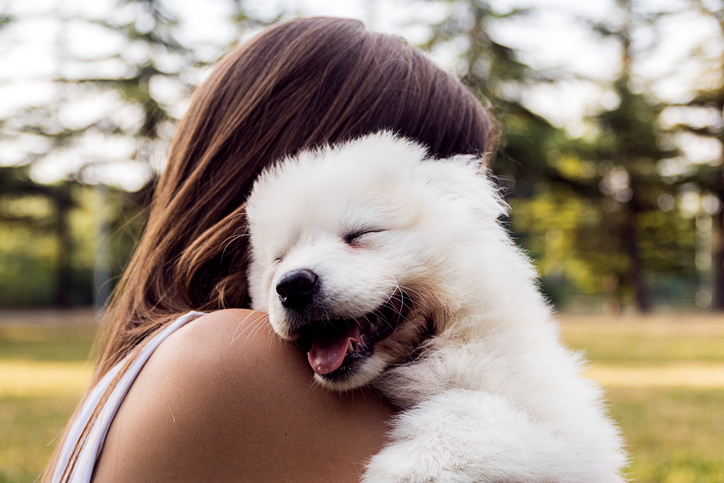 Maneiras divertidas de passar o dia nacional dos melhores amigos com seu cachorro – Blog do cachorro