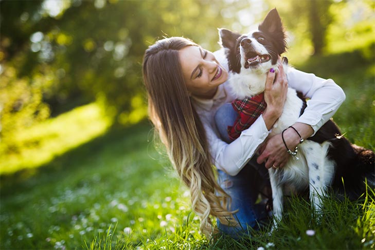 Questionário: Você é dono de um cachorro responsável? – American Kennel Club