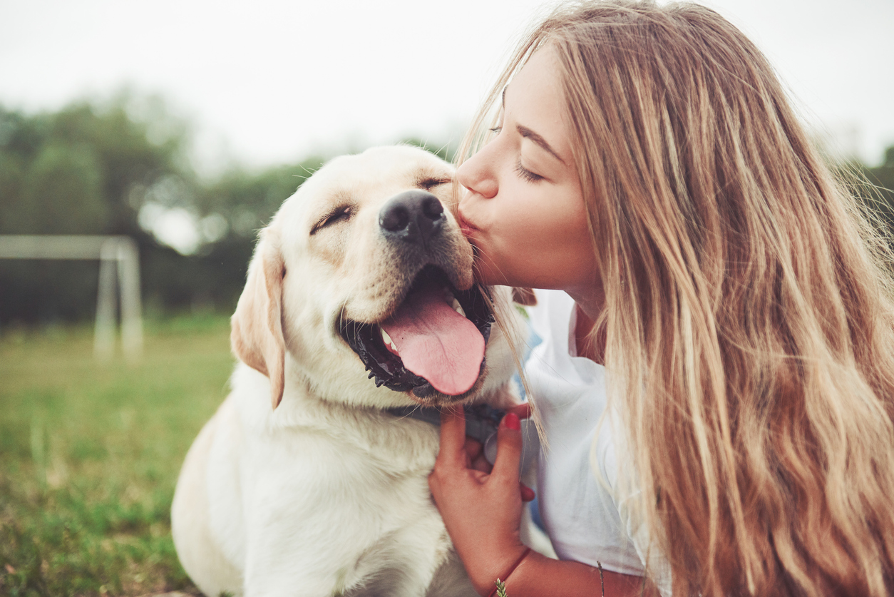 7 fatos nutricionais para seu cachorro que vale a pena latir sobre – The Dog Blog