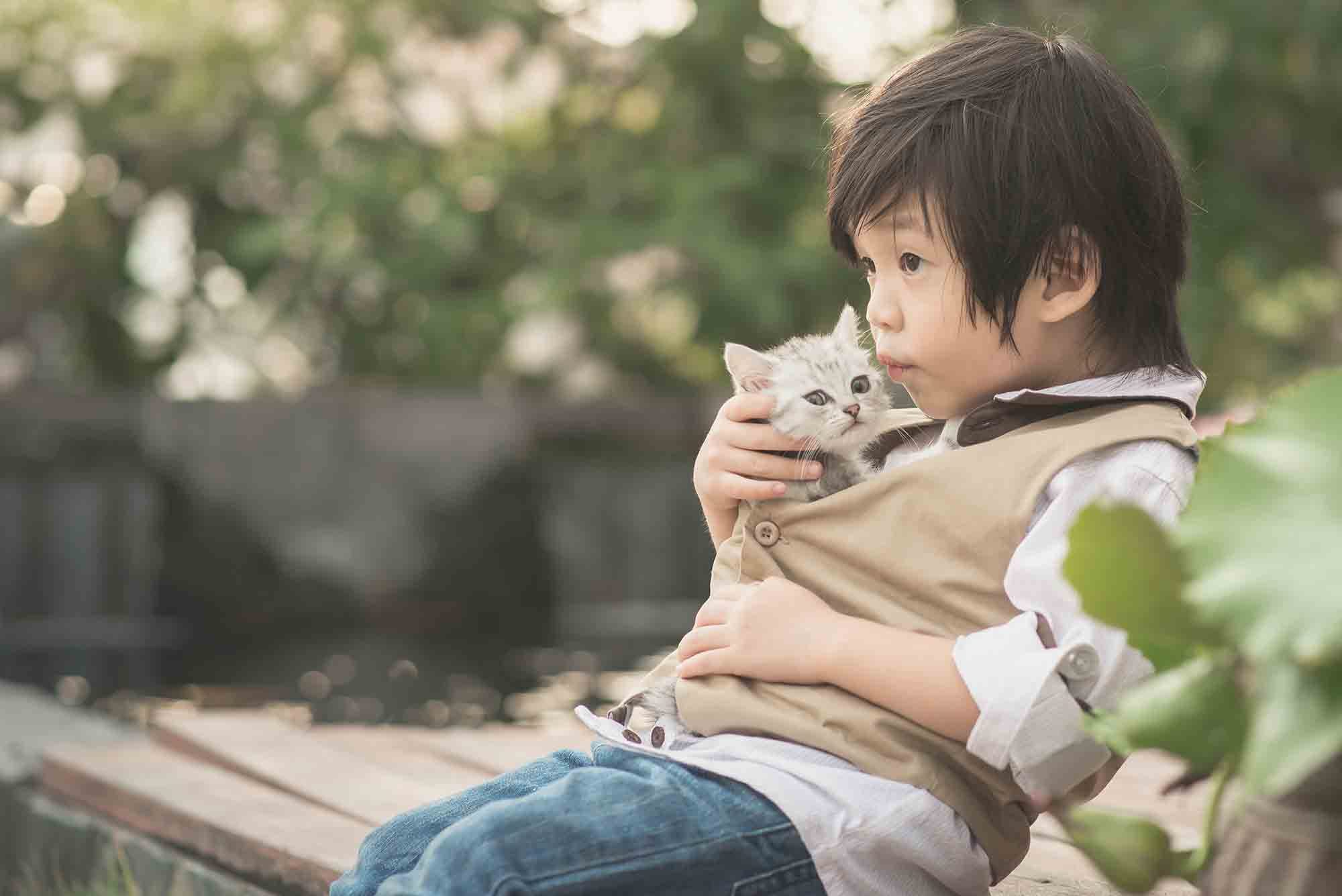 Ter um gato melhora seus relacionamentos humanos de maneiras maravilhosas