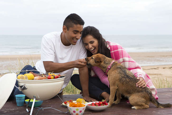 Alimentos que seu cão nunca deveria comer