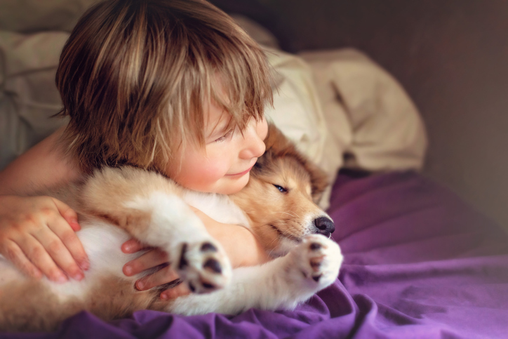 Agora é a hora certa para ter um filhote de cachorro?  Como se preparar durante o COVID-19