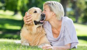 8 maneiras de comemorar a semana da apreciação do animal de estimação e mostrar o amor extra do seu melhor amigo – Blog do cão