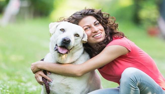 Dez principais maneiras de comemorar a semana da valorização do animal de estimação – The Dog Blog