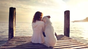 O que é melhor do que um dia inteiro dedicado aos cães?  – The Dog Blog