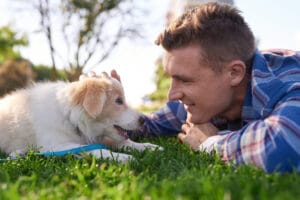 10 coisas que os pais responsáveis ​​pelos cães fazem – O blog do cão
