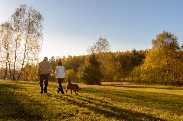 Benefícios para a saúde de passear com o cachorro diariamente – The Dog Blog