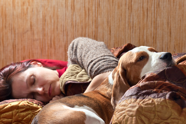 Você pode ficar doente de um cachorro?