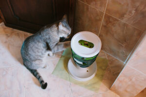 Tapetes de comida para gatos e bandejas para animais de estimação: ajudando as estações de alimentação a ficarem arrumadas e limpas