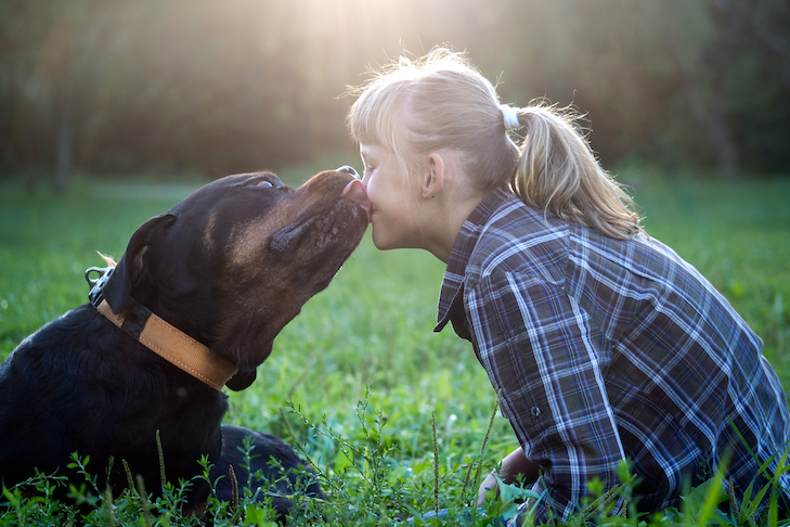 Como ajudar seu cão a amar as crianças – American Kennel Club