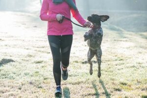 Como treinar seu cão para correr com você: dicas para correr com cães