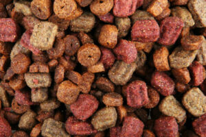 Comida de cachorro rica em proteínas: lendo o rótulo – American Kennel Club