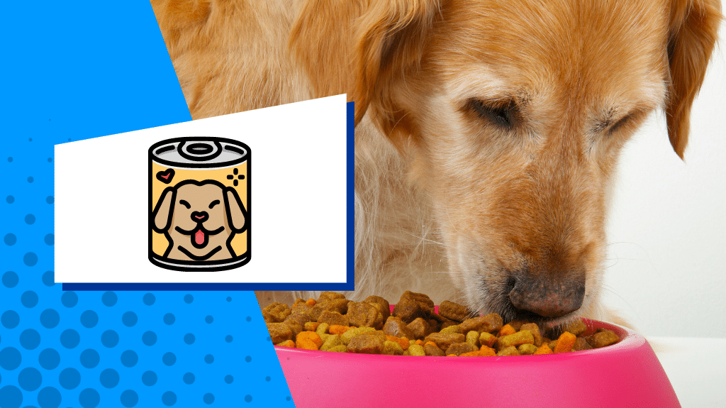 Ração para cães idosos com melhor classificação: melhor comida para cães idosos |  Recuperador