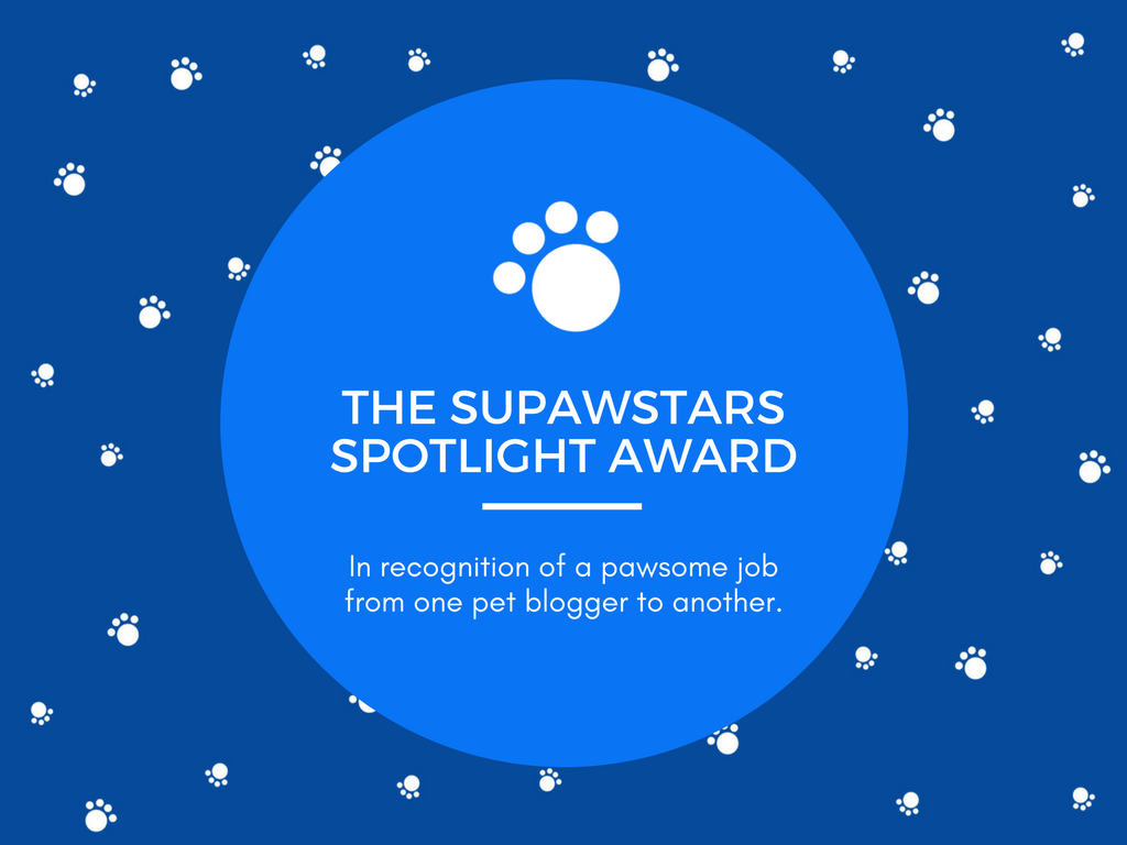 Prêmio Supawstars Pet Blogger Spotlight!  (01/2018)