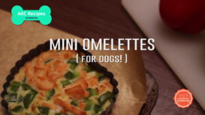 Receita: Como fazer mini omeletes para cães – American Kennel Club