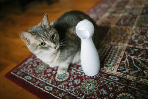 PetSafe FroliCat Bolt Automático Laser Interativo Brinquedo para Gatos Revisão