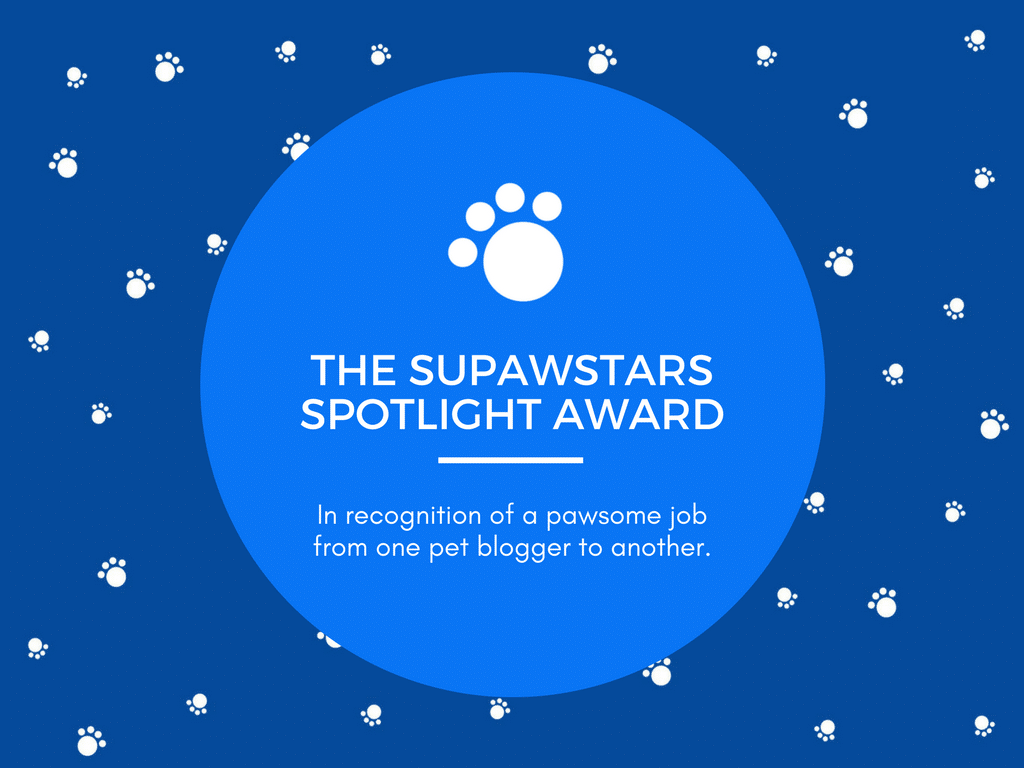 Prêmio Supawstars Pet Blogger Spotlight!  (10/2017)