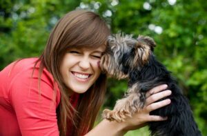 3 dicas sobre como alimentar seu cão sênior – American Kennel Club