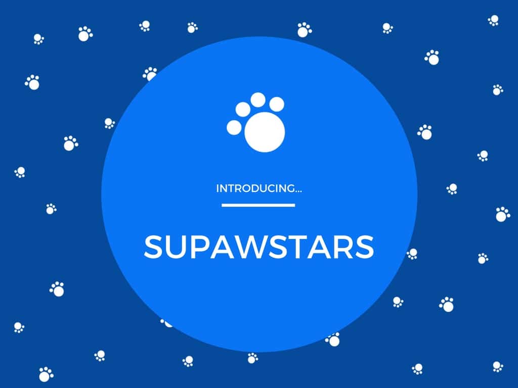 Apresentando Supawstars!  & Por favor, grite seus blogs favoritos de animais de estimação!