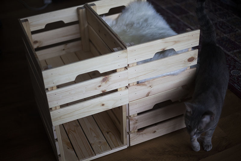 Ikea Knagglig Cat Bed Condo Hack: não são necessárias ferramentas e peças extras