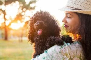 Como ajudar seu cão a evitar o câncer