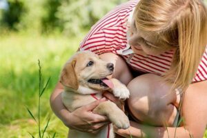 Lista de verificação de novo filhote: equipamento que você precisará para seu novo cão