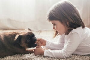 Genoma de câncer ósseo em cães pode ajudar a decifrar doenças em crianças