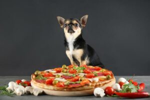 Nomes de comida para cães: como nomear seu cachorro Foodie