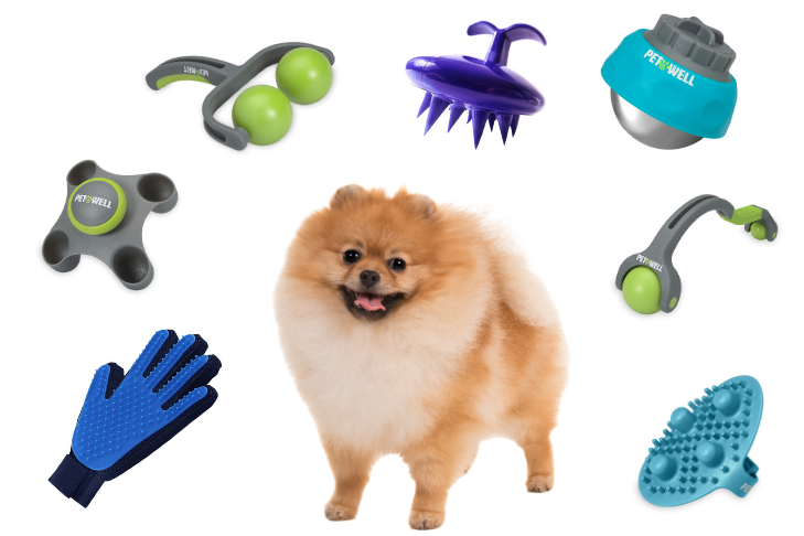 As 7 melhores ferramentas de massagem para cães para animais de estimação