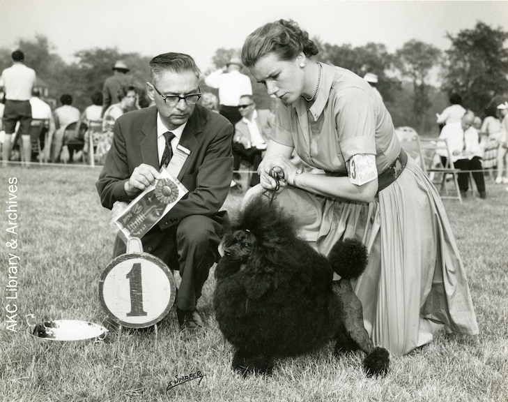 Anne Rogers Clark: criadora, manipuladora e juíza de poodle icônica