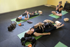 Puppy Yoga é uma coisa real e estamos prontos para experimentá-lo o mais rápido possível