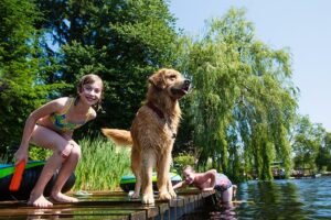 7 atividades para fazer com um cachorro que adora água