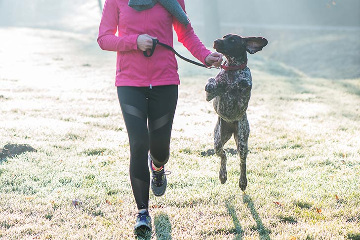 Raças de cães que podem ser bons companheiros de corrida