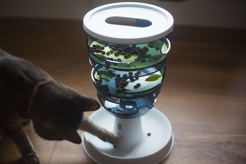 Catit Design Senses Food Maze Cat Feeding Toy Review