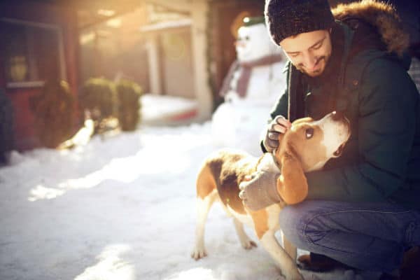 Um derretimento de gelo e neve que é seguro para cães