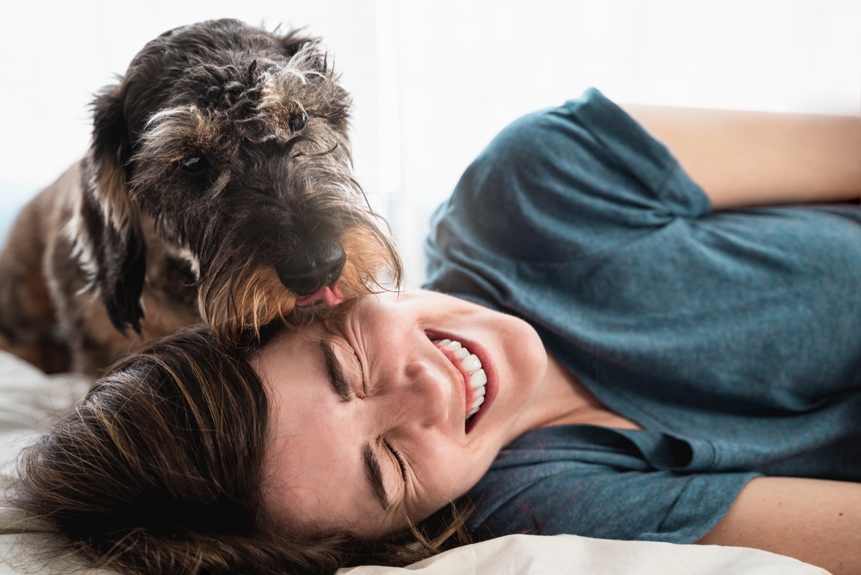 Os cães são bons para a saúde mental?