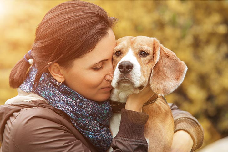 O que fazer se um ente querido precisar de ajuda com seus cães