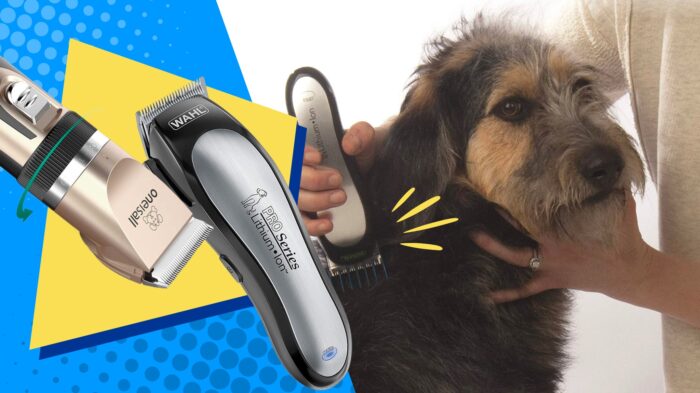 Melhores tosquiadeiras para cães |  Aparadores de cães com melhor classificação para cuidados pessoaisJoin Retrievist for FreeContinue WithJá tem uma conta?  Faça login.Receba e-mails com ofertas incríveis em produtos para animais de estimação SUBSCREVER