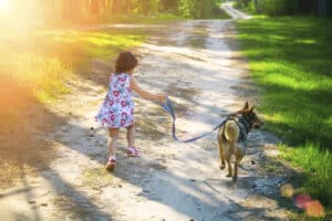 8 coisas que você pode fazer para proteger seu cão no verão
