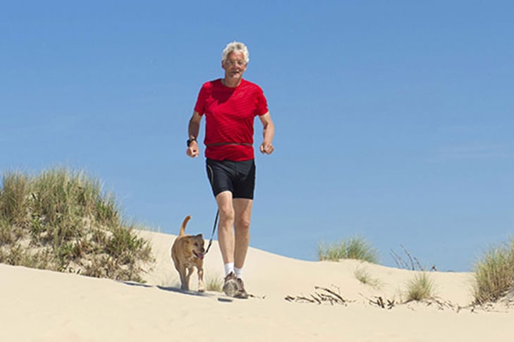 Seu parceiro de corrida de quatro patas