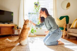 What to Look for When Hiring a Pet Sitter