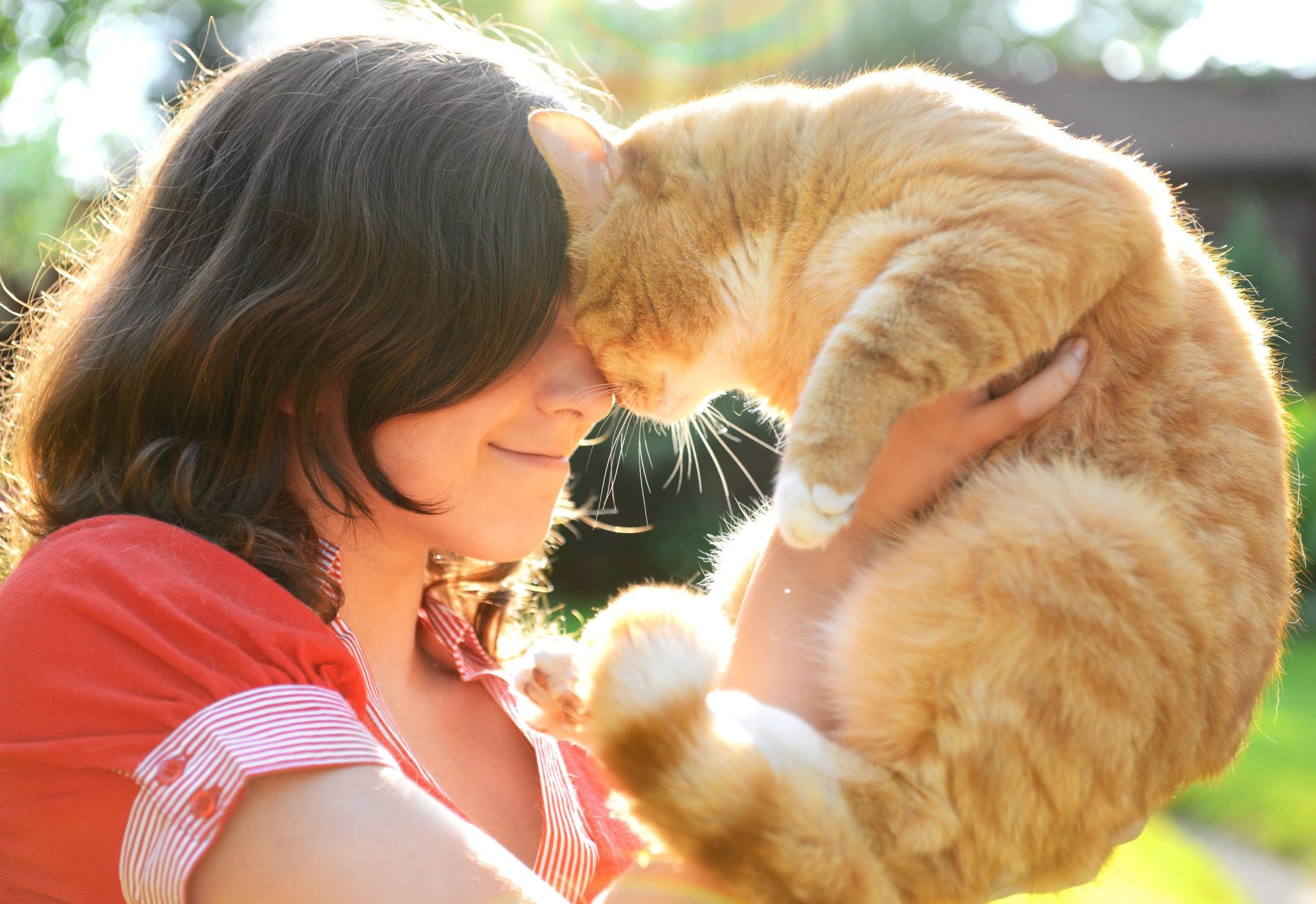 Our Three Favorite Ways to Keep Your Cat Healthy